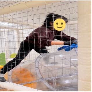 458611854406c39c4c0e16e04aa51bc2_1775634338_4793.jpg